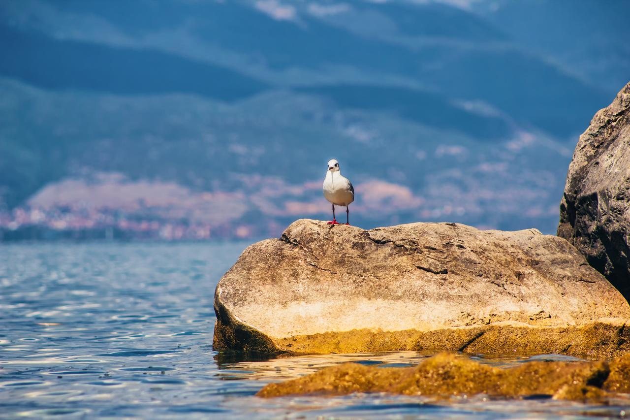 Park Lakeside Ohrid Exterior foto